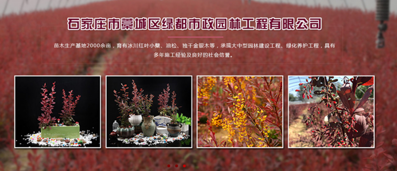 微信截图_20200120152831